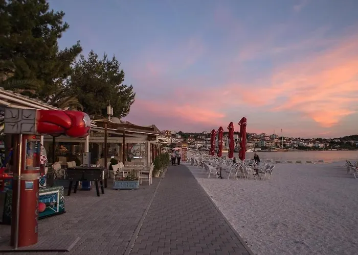 Rozankovic * 特罗吉尔