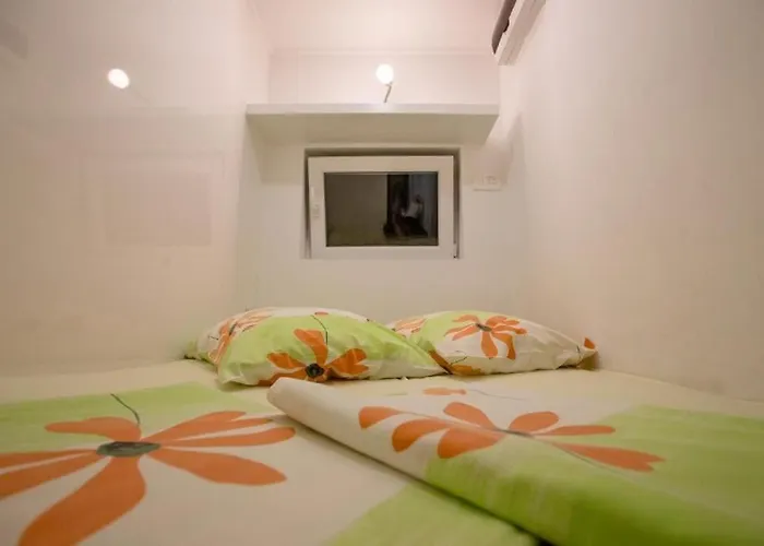 Rozankovic * 特罗吉尔