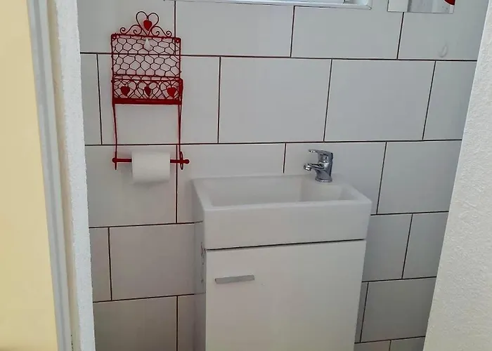 Rozankovic * 特罗吉尔